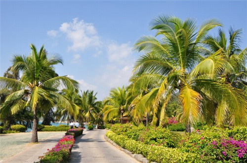 徽蜀香卤味熟食