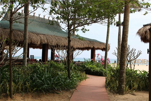 稻米肴新潮派煎饼