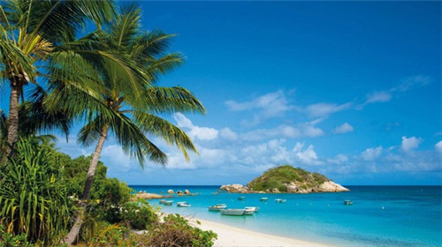 张成荣电烤鸡架