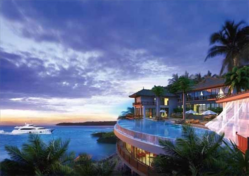 一只鲍鲍汁焖鸡