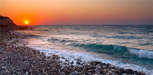 福成四期黄焖鸡