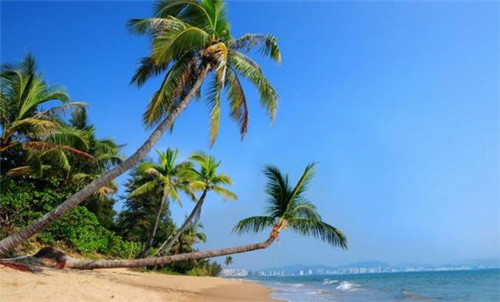 七月初七潮流零食