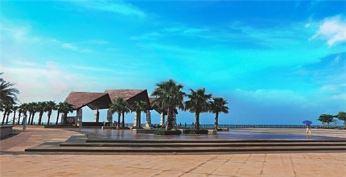 抖音的日语正宗吗怎么说（抖音这个词用日语怎么说）