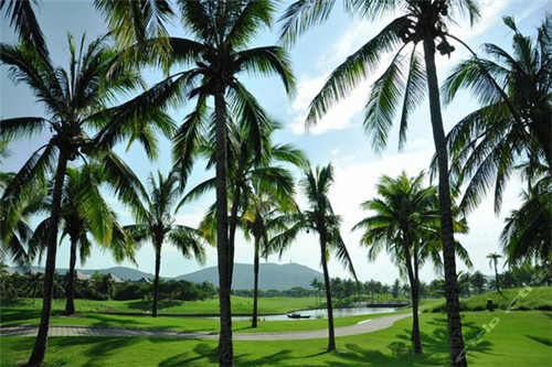 准备开公司怎么起名字（想开公司名字怎么起名）