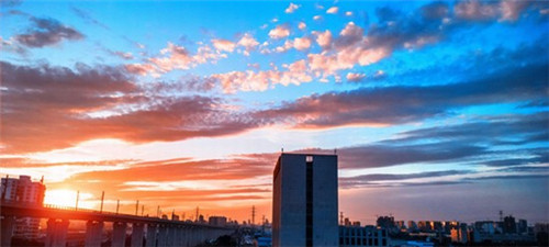 紫禁城茶叶品牌介绍（紫禁城600年茶叶）