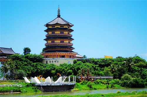 全国十大相亲节目排名（全国相亲节目有哪些）