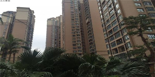 甲冠天下是指什么生肖（甲冠天下的甲什么意思）